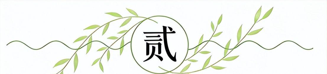 哈维·阿隆索确认恩佐·费尔南德斯将为切尔西效力