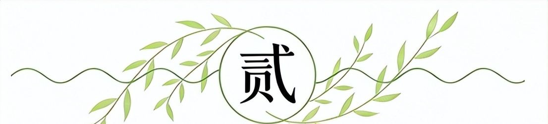 超越约罗，布阿迪成为史上转会费最高的U18球员